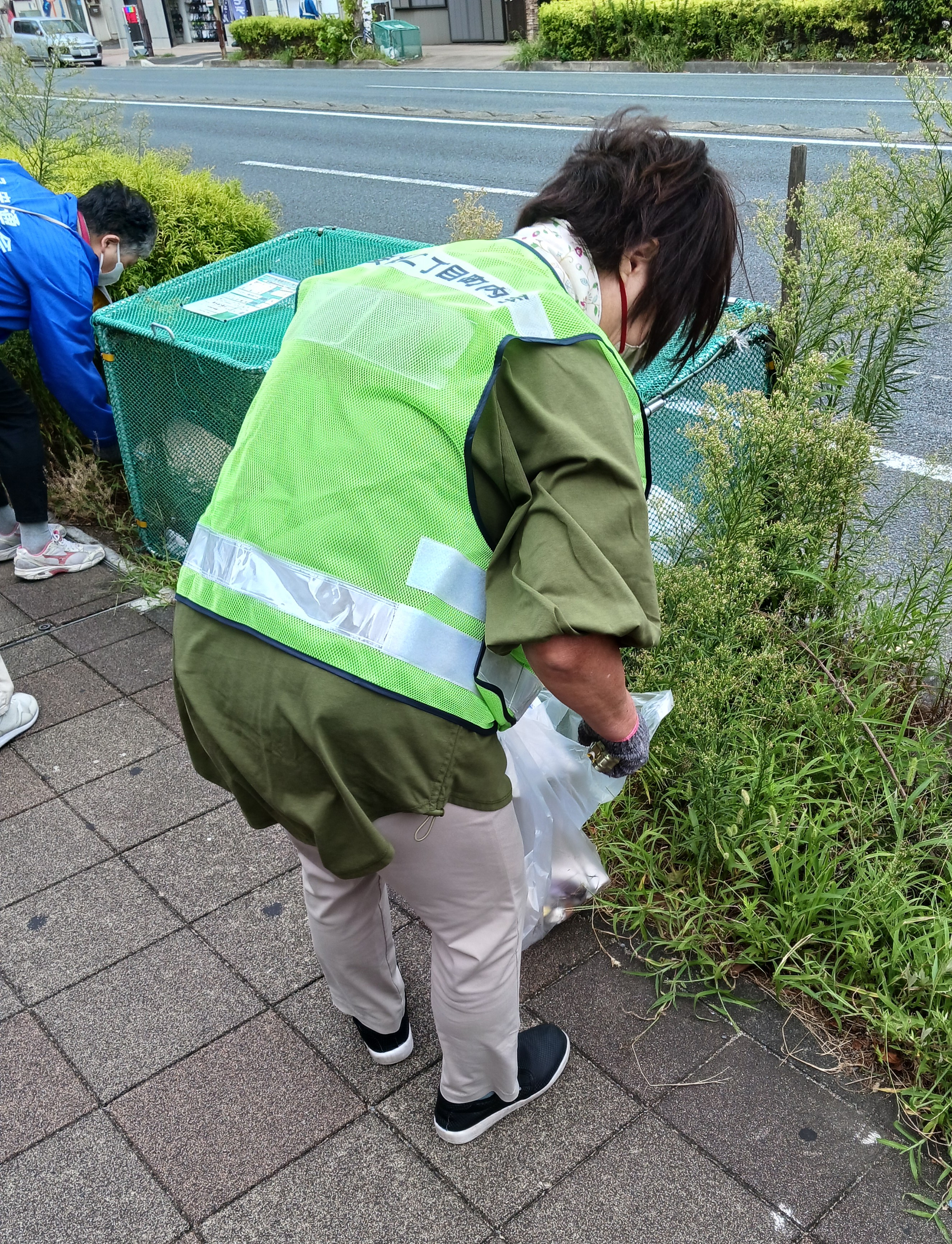 画像の説明